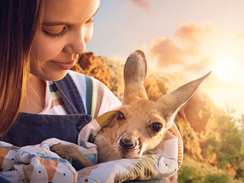 Lilly und die Kängurus Short
