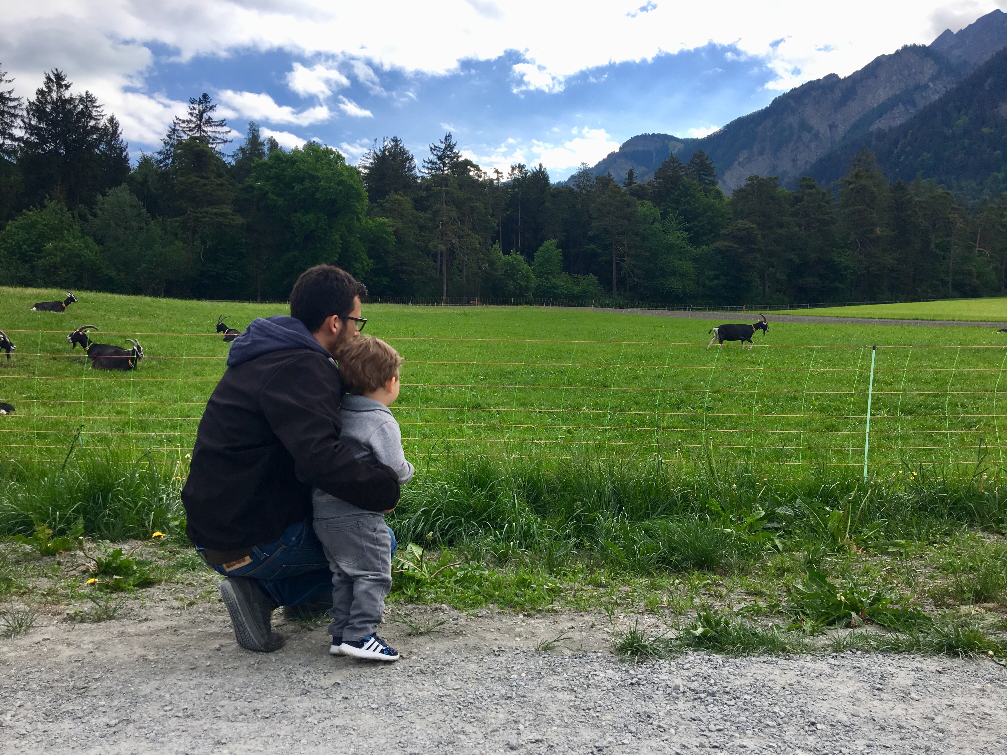 Bild 2