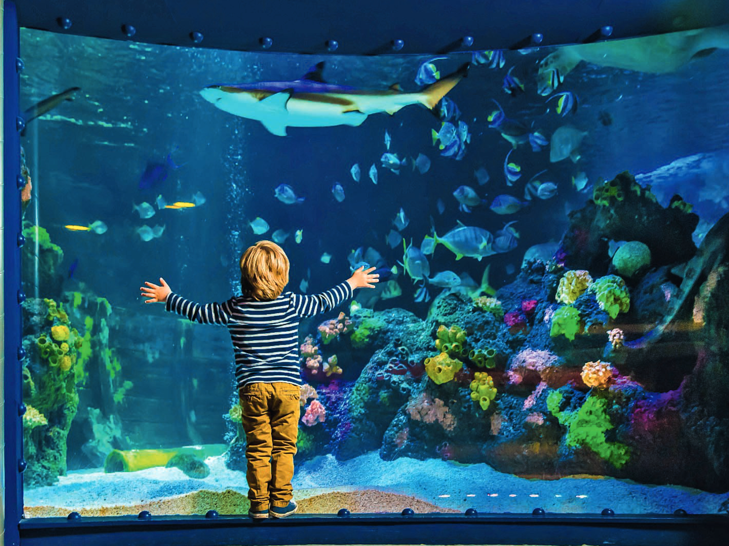 Sea Life Konstanz