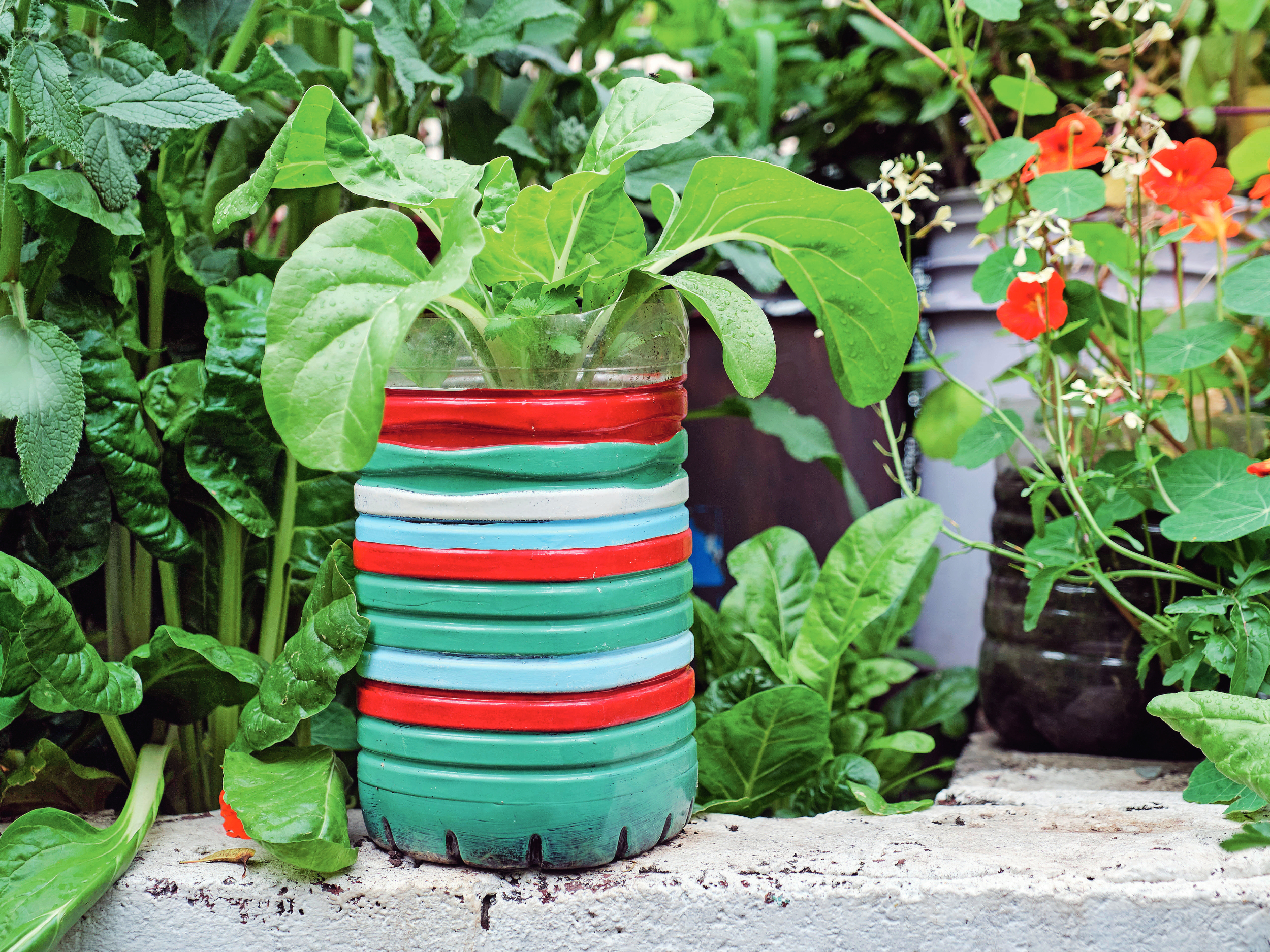 DIY: Kreativ mit Erde
