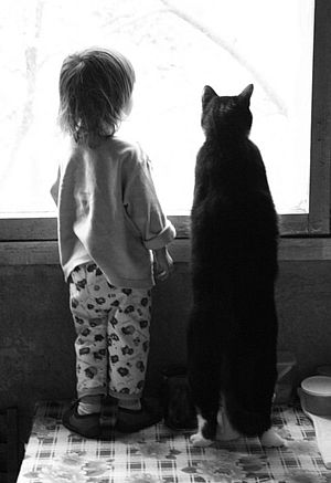 RTEmagicC inspiration aussichten kind katze.jpg