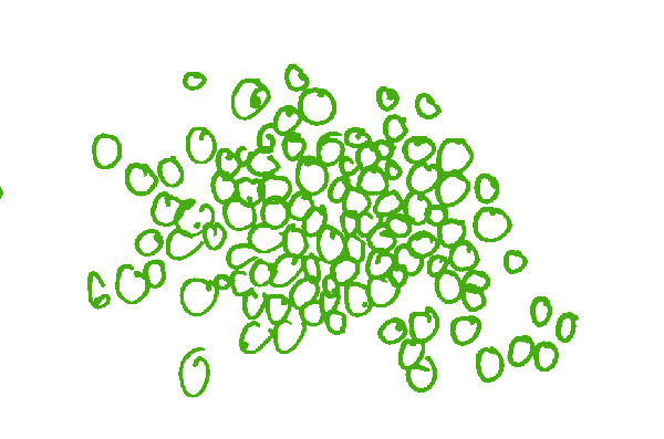 Illustration: Quinoa
