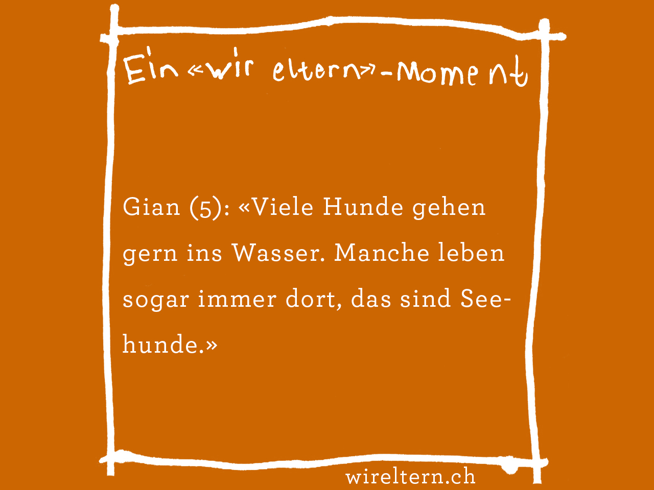 Gian (5): «Viele Hunde gehen gern ins Wasser. Manche leben sogar immer dort, das sind Seehunde.»