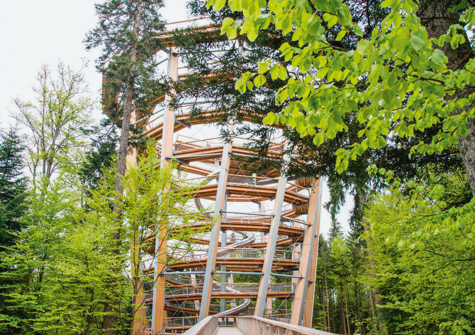 Baumwipfelpfad