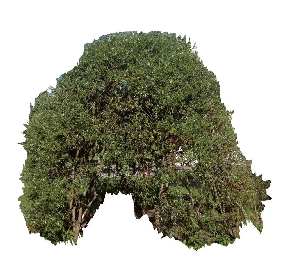 Natur-Häusschen