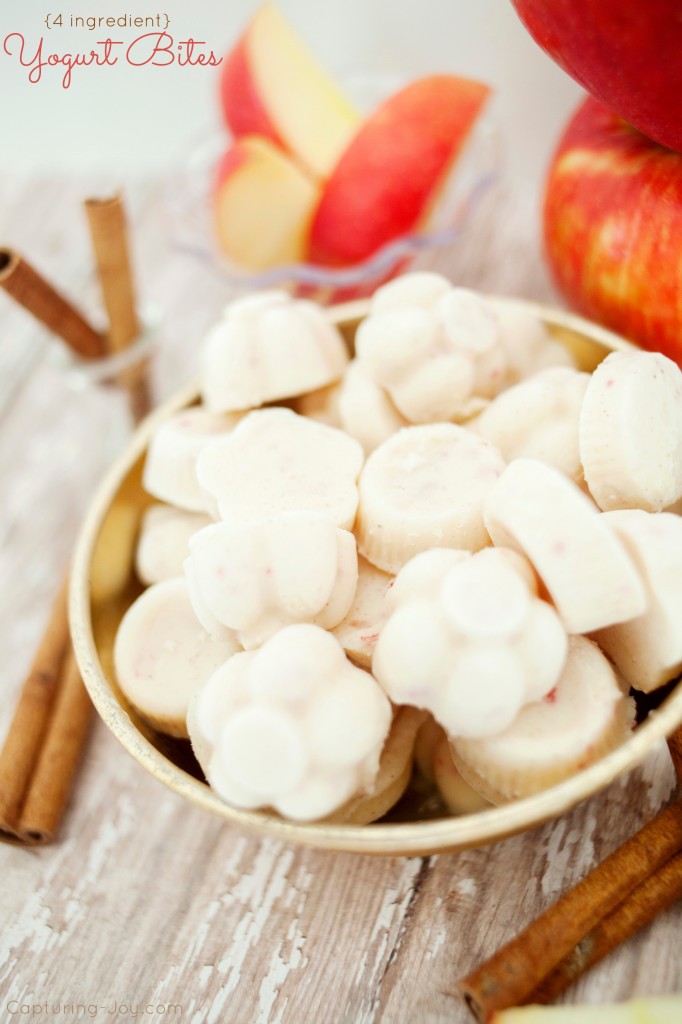 Apfel-Zimt-Glace