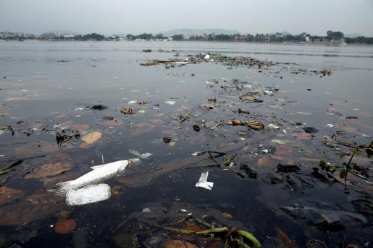 Verdrecktes Wasser und tote Fische darin