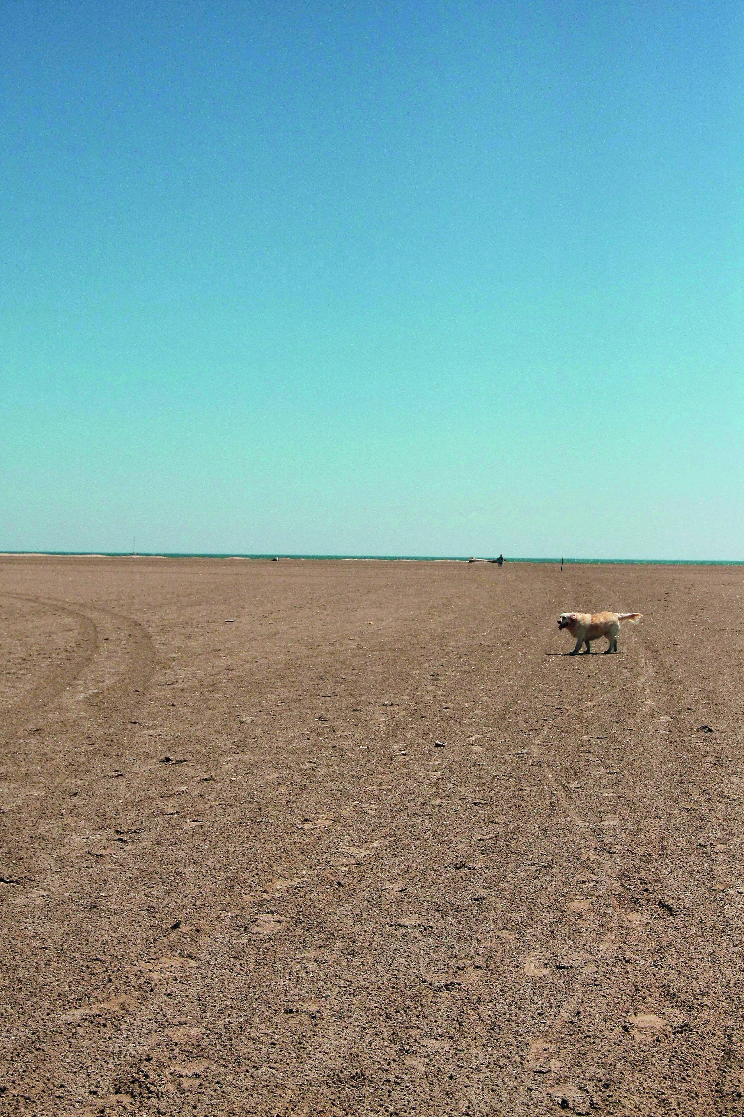 Nichts als Dünen und Wasser. Der kilometerlange Strand in Ste-Lucie ist trotz Hochsaison menschenleer.