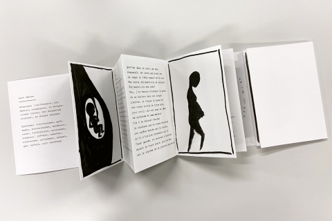eva-leporello-kunst